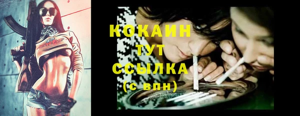 твердый Майский