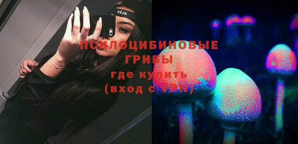 твердый Майский