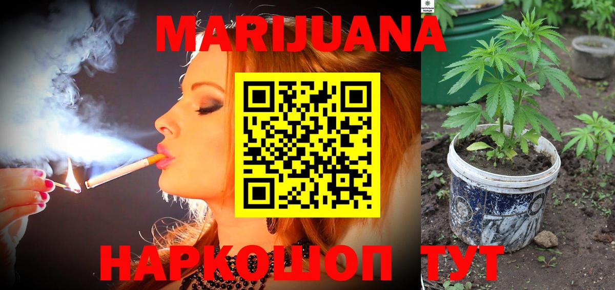 Бошки Шишки план Оренбург